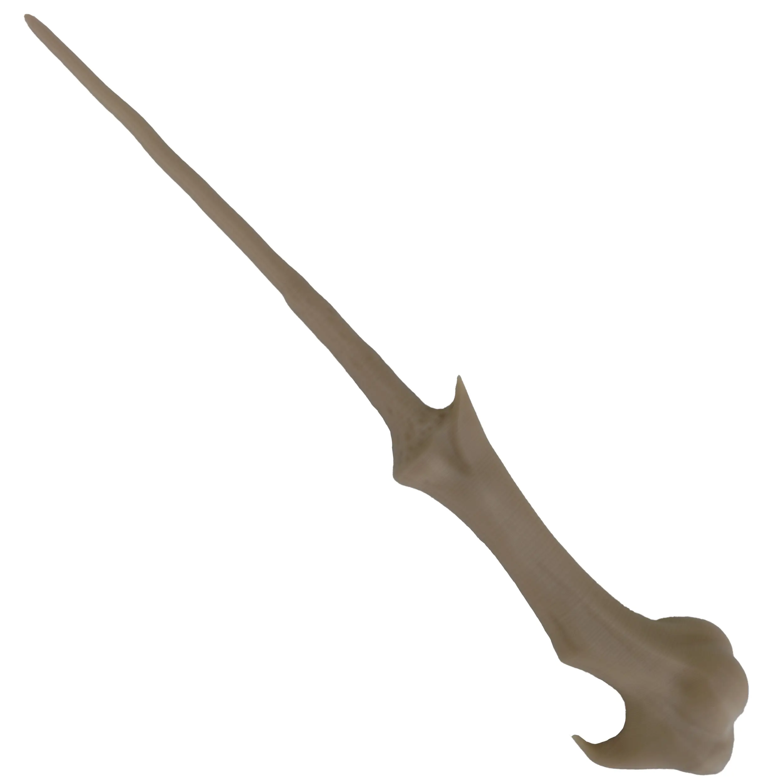 چوب دستی لرد ولدمورت